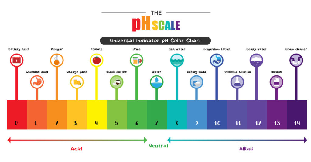 what is ph balance-scale